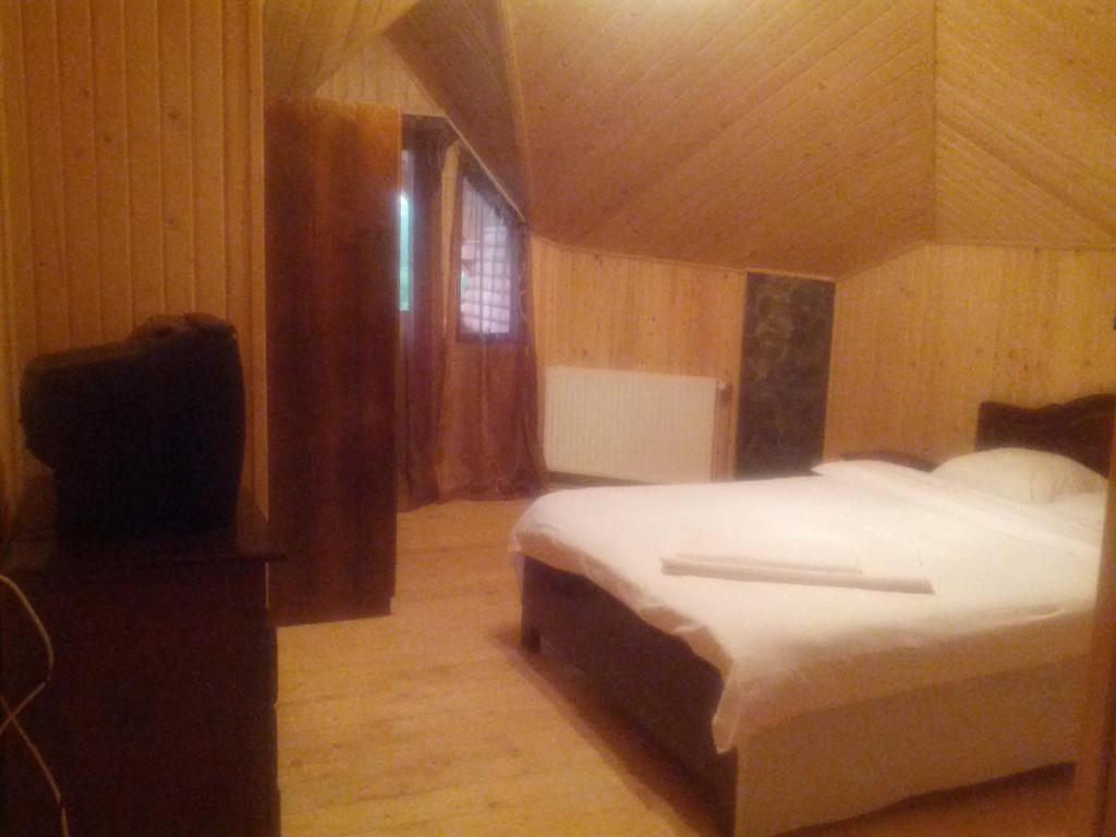 Pensiunea Magdalena Campulung Room photo
